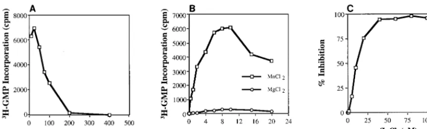 FIG. 4. Effects of salts on BVDV NS5B RdRp activity. (A) Effects of different concentrations of NaCl; (B) effects of different concentrations of divalent salts, MnCland MgCl22; (C) inhibition of NS5B RNA synthesis by Zn2� ions.
