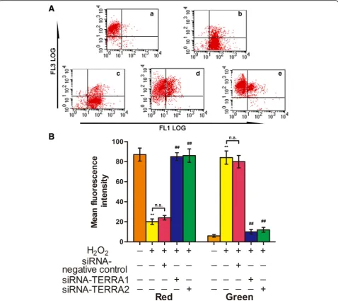 Fig. 4 siRNA-TERRA increased MMP in cells treated with H2O2. a Flow cytometry was used to analyze MMP: a