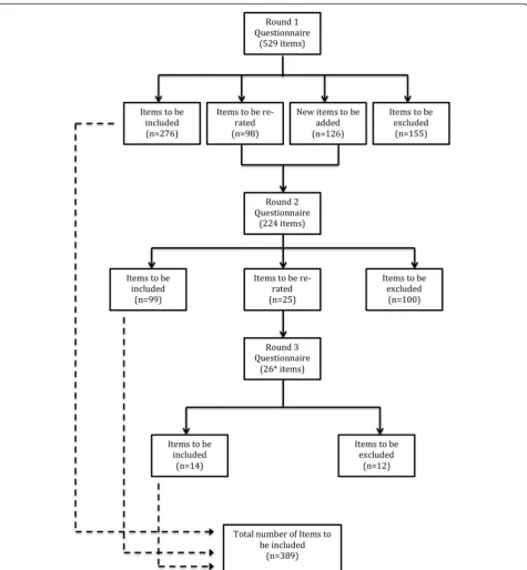 Fig. 2 Information about the rated items. *Includes 1 item that was developed by the team as the result of a newly published resource