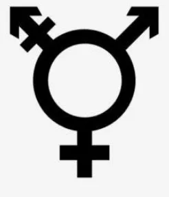 Figure 4. The Transgender Sex Symbol 