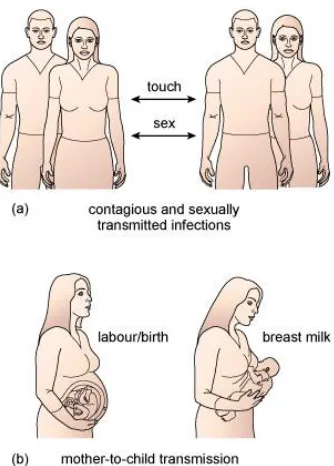 Figure 3. Direct person-to-person transmission of infection. (a) Contagion and sexual transmission