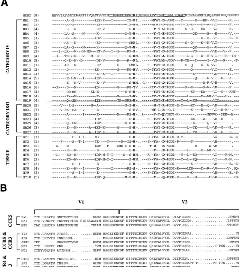 FIG. 3. (A) Deduced amino acid sequence analysis of the V3 loop and ﬂanking sequences derived from PBMC infected with blood and tissue primary isolates.Sequences are compared with HIV HXB2