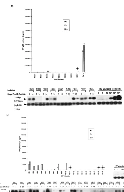 FIG. 1—Continued.