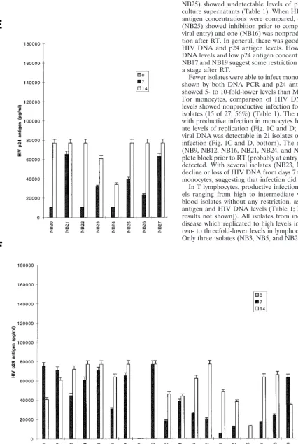 FIG. 1—Continued.