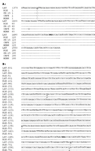 FIG. 4. Sequence alignment of the in vitro PrV LAT RT-PCR product with the reported in vivo cDNA sequence of the PrV LLT (GenBank accession no