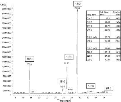 Figure 2.4: GC-FID chromatogram representing the fatty acids distribution of 