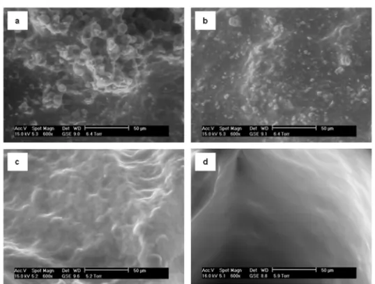 Figure III – 6. Environmental Scanning Electron Microscopy (ESEM) images of wet silk hydrogels prepared by citric acid titration (a) 2 wt% and (b) 4 wt% and under high pressure CO2 (c) 2 wt% and (d) 4 wt%