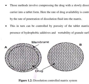 Figure 1.2: Dissolution controlled matrix system  
