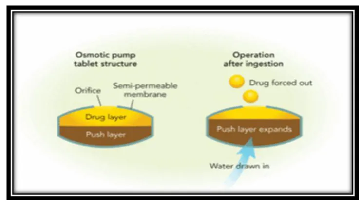 Figure 1.7:  Drug delivery from environmentally pH sensitive release systems 