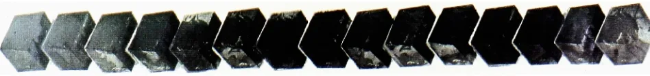 Figure 8. See Myself