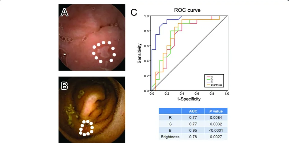 Figure 2 Definitions of the bile-pigment-positive and bile-pigment-negative condition