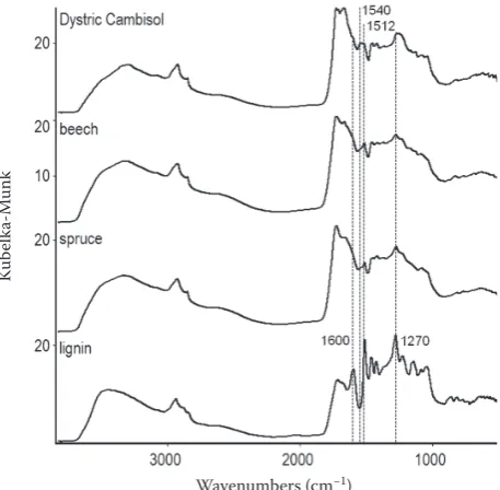Figure 6. The differences between humic acids (HAs)spectra of beech and spruce forests