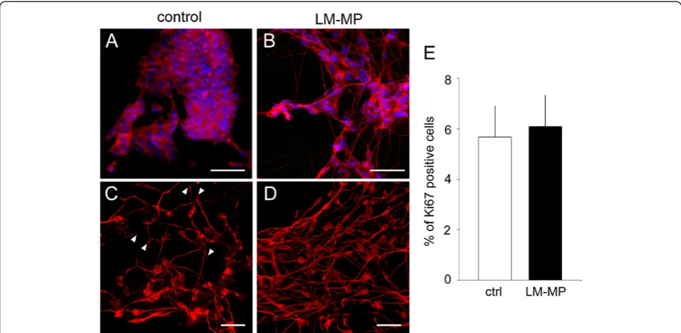 Figure 6 Smooth-muscle actin expression in ES-NS.LM-MP treated ES-NS as compared to control (n = 6, ** Pof total protein extract per lane