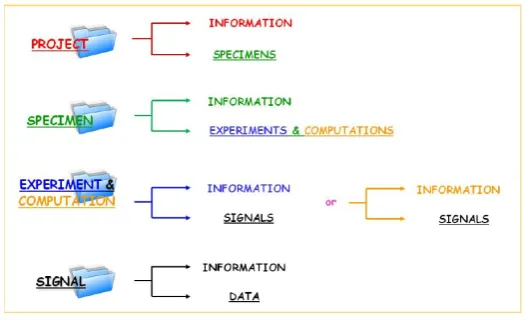 Figure 2.1: Data hierarchy