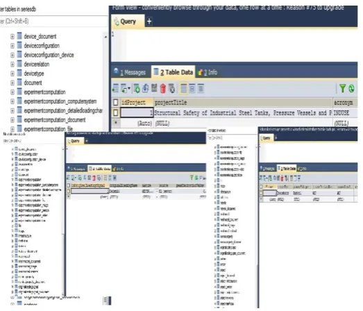 Figure 2.4: RELUIS distributed database