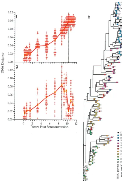 FIG. 1—Continued.
