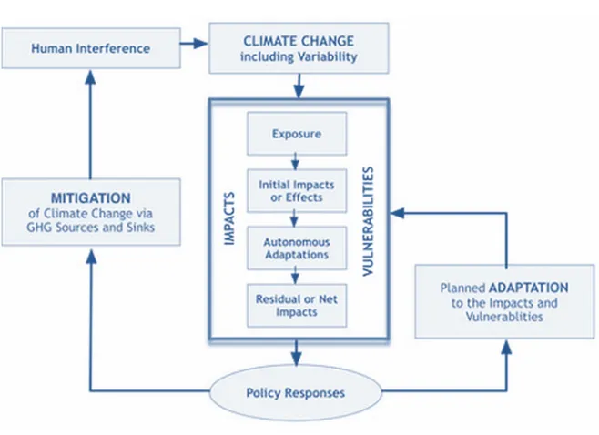 Figure 1-1: Relationship between vulnerability, impacts and policy response (IPCC 2001) 