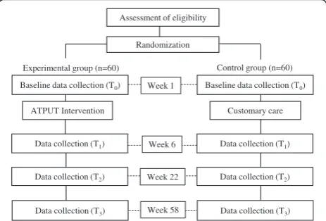 Fig. 1 ATPUT, Assistive Technology Provision, Updating andTune-Up intervention
