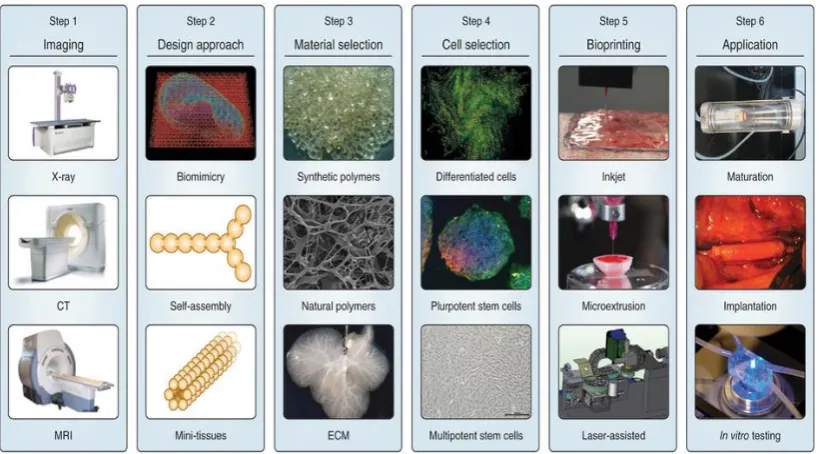 Figure 1.3: Bioprinting steps from the initial 3D computer modelling to 