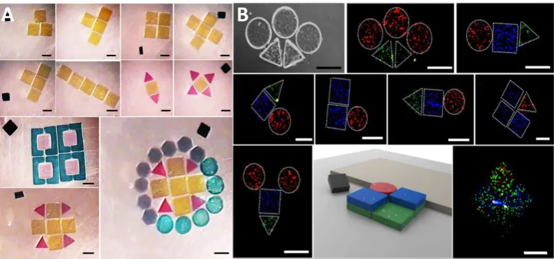 Figure 1.9: Micro-robotic assembly of versatile in shape and size 