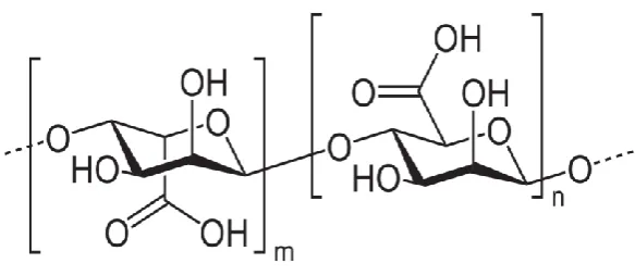 Figure 2.2: Sodium alginate sol-gel transition upon the contact with Ca2+ 