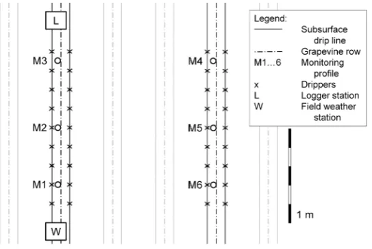Figure 1. A sketch of the study plot (north is up)