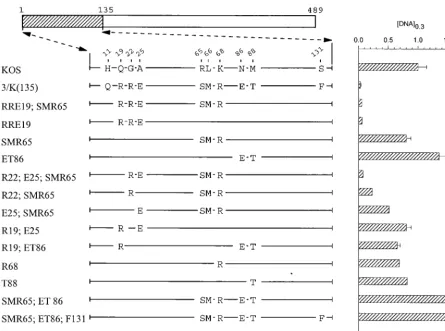 FIG. 2. UL41 alleles with mutations in amino acids 1 to 135. The UL41 polypeptide of HSV-1 (strain KOS) is depicted by the open rectangle, with the portion(amino acids 1 to 135) containing site-directed mutations indicated by hatching