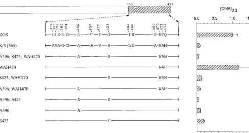 FIG. 4. UL41 alleles with mutations in amino acids 365 to 489. The UL41 polypeptide of HSV-1 (strain KOS) is depicted by the open rectangle, with the portion(amino acids 365 to 489) containing site-directed mutations indicated by hatching