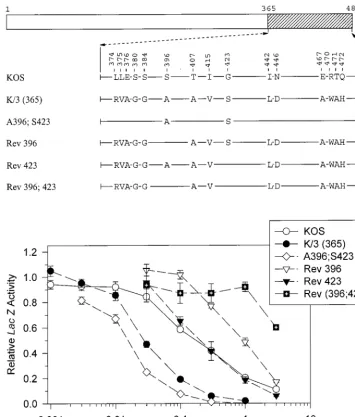 FIG. 5. UL41 alleles with mutations in amino acids 365 to 489. The UL41 polypeptide of HSV-1 (strain KOS) is depicted by the open rectangle, with the portion(amino acids 365 to 489) containing site-directed mutations indicated by hatching