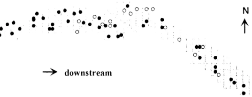 Figure 1: Simulation output showing a detail of a typical spatial pattern in Nahal Saif taken from the simulation shown in Figure 2a (year 10)