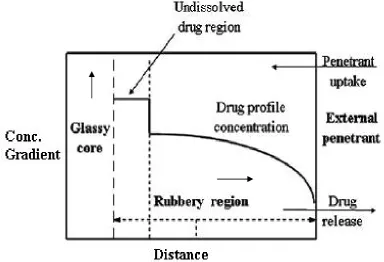 Figure 4: Drug concentration profile as a function of glass and rubbery regions9.