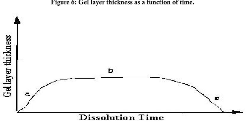 Figure 6: Gel layer thickness as a function of time.