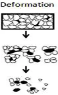Table No. 1.1 : Disintegrating Enzymes 