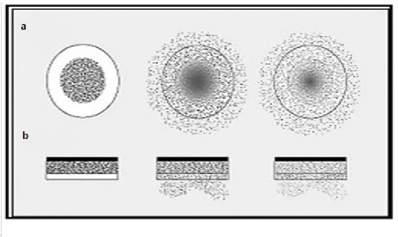 Fig. 7: Drug delivery from typical reservoir devices: (a) Implantable or oral systems and (b) Transdermal systems 