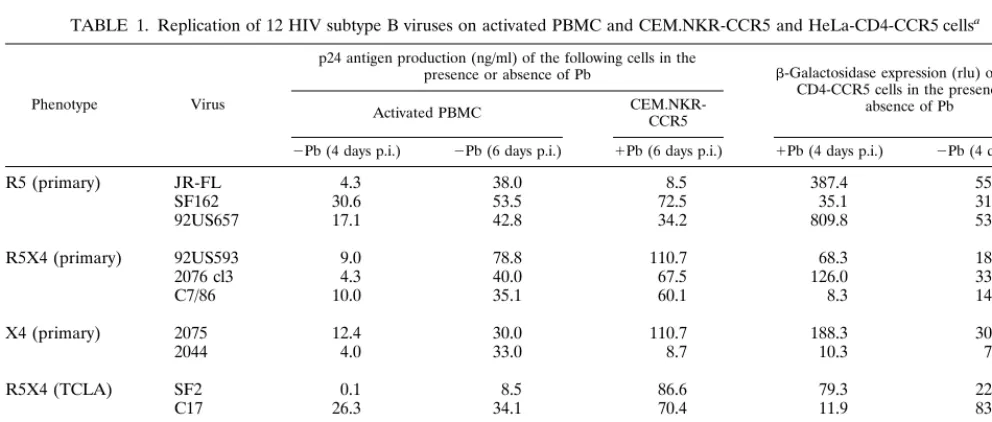 FIG. 2. Infectibility of CEM.NKR-CCR5 cells by HIV-1 isolates of different phenotypes