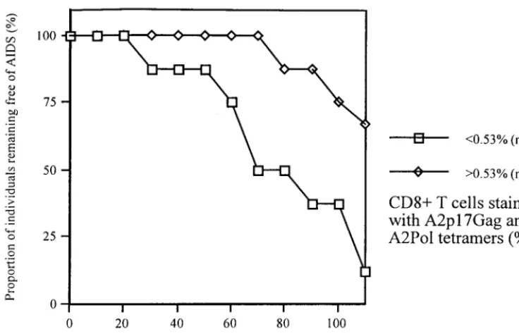 FIG. 1. Cumulative AIDS-free survival of members of the cohort stratiﬁed according to the frequency of p17Gag/Pol tetramer-binding cells at study entry.