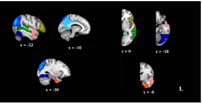 Figure 3.5: The left hemisphere region-of-interest (ROI) masks used in the ROI-based analysis