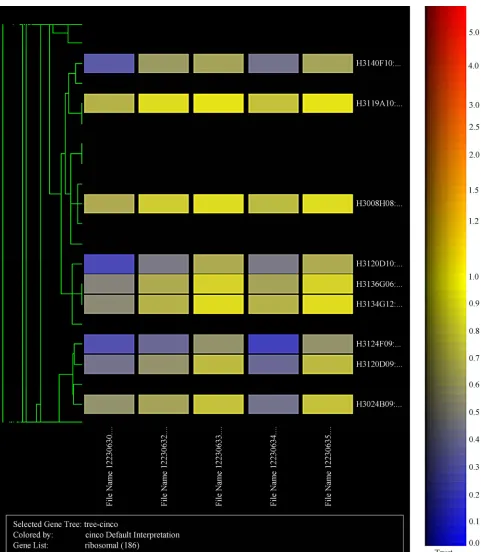 Figure 3. Cluster display of data HCV transgenic mice. 