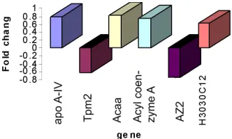 Figure 4. Gene expression by realtime.  