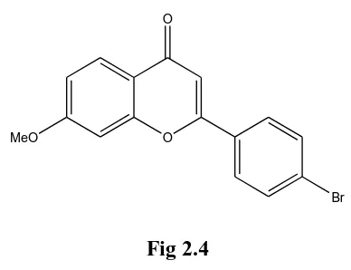 Fig 2.4 Gabriel Sagrera et al (2011) (52) Synthesized and reported substituted 