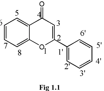 Fig 1.1 Flavonoids are one of the most abundant natural product groups occurring in the 