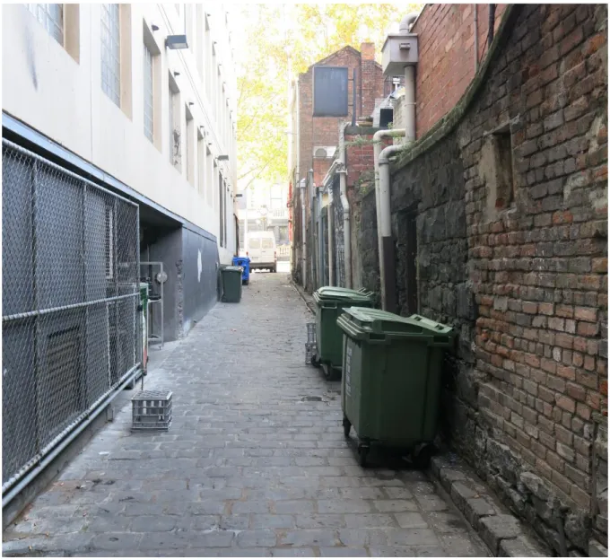 Figure 5 - Turnbull Alley. Source: Trethowan Architecture 2014. 
