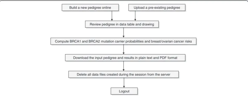 Figure 2 BOADICEA Web Application server activity logged during the week of the 17th May 2010