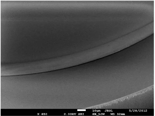 Table 2.1: Results of the RMS roughness measurement performed by AFM.