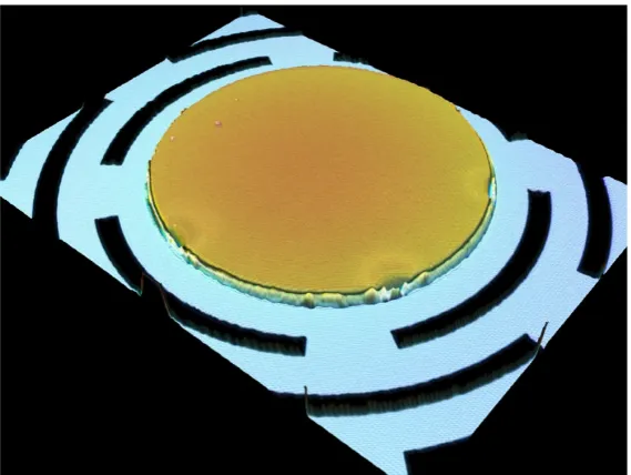 Figure 2.11: Zygo surface proﬁle for a circular area near the mirror center (a) and nearthe mirror edge (b)