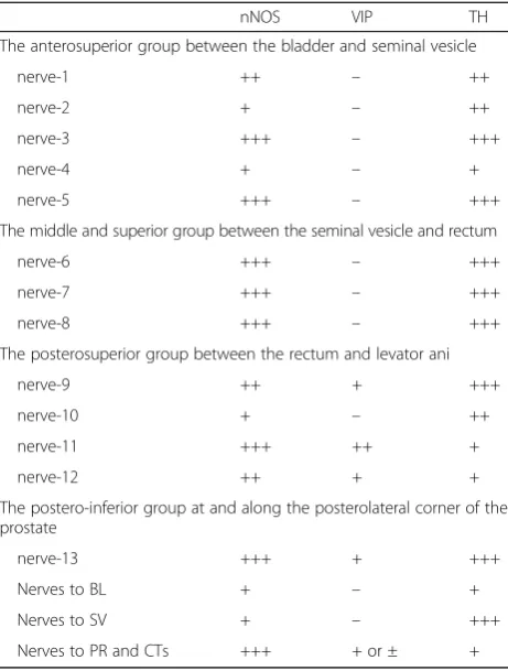 Table 1 Summary of composite nerve fibers of the pelvicplexus branches