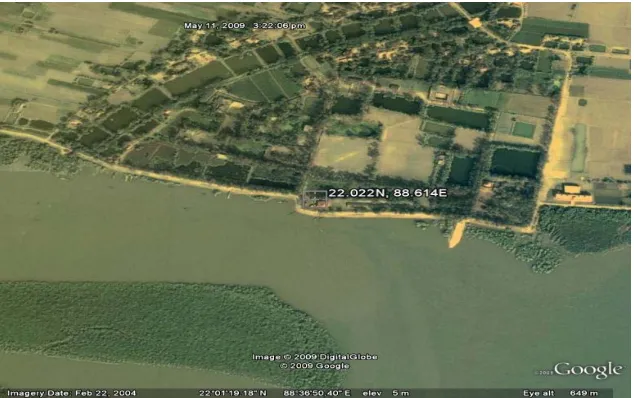 Figure 1. Sampling site at Kaikhali (22.022˚N and 88.614˚E). 
