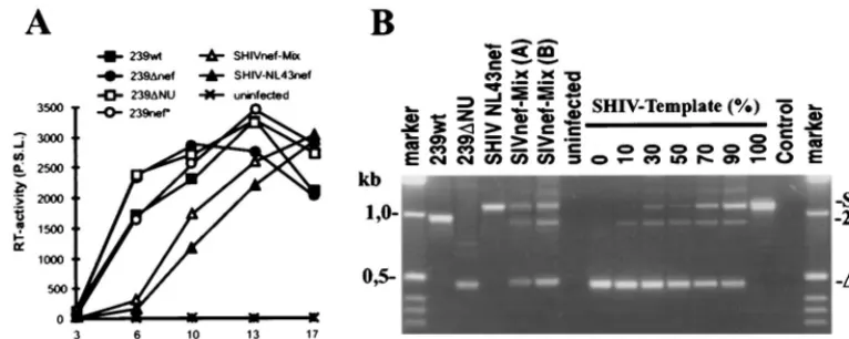 FIG. 2. Characterization of SHIVnef-Mix in vitro. (A) Replication of the indicated SIVmac239 nefcontaining 5 ng of p27 core antigen derived from transfected COS-1 cells