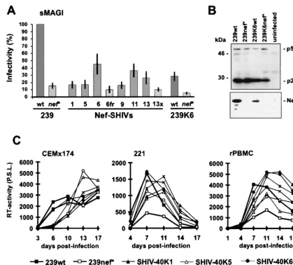 FIG. 7. Infectivity and replication of Nef-SHIVs. (A) sMAGI cells were infected in triplicate with three different virus stocks