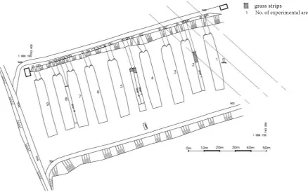 Figure 1. Topographic plan of Třebsín study site (author L. Chamout)